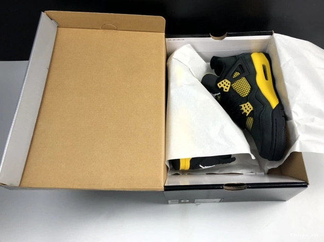 Air Thunder 308497-008 4 Jordan Retro 0701
